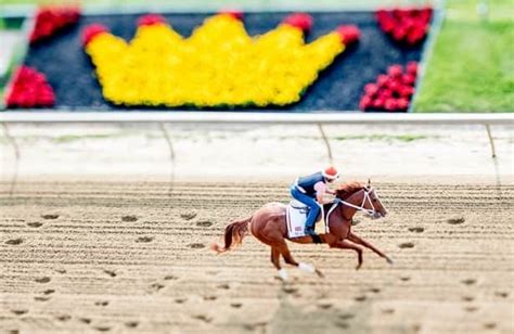 Preakness Stakes 2023: Odds, free PPs, preview, .